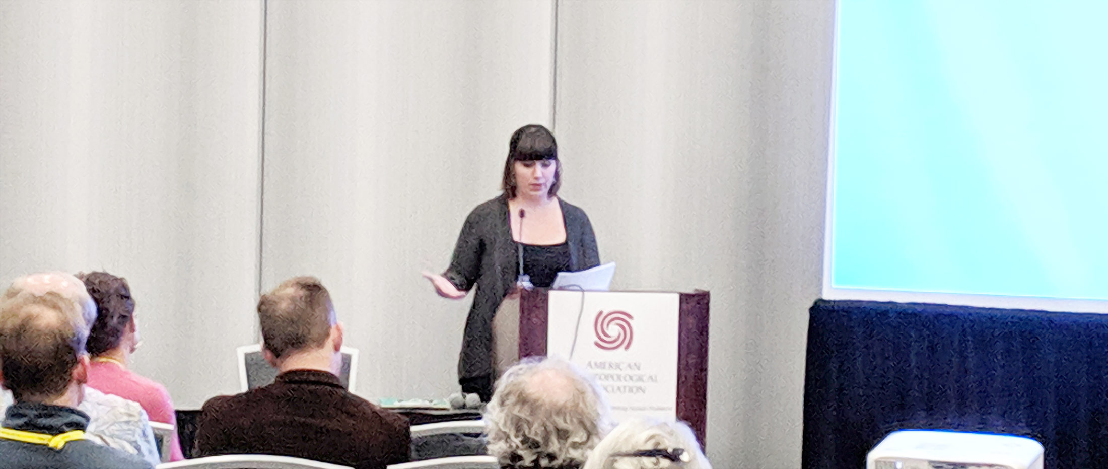 Dr Amy E. Flynn-Curran speaking at the American Anthropological Association (AAA) Annual Meeting